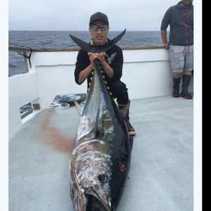 Meet your Posher, Danny